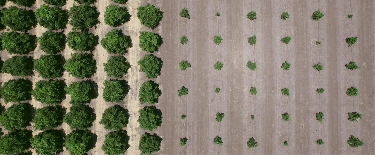 Documentaire over waterschaarste met prachtige droneshots