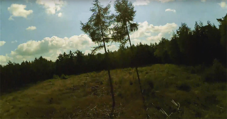 Two trees FPV freestyle in een bos in Drenthe Two trees FPV freestyle in een bos in Drenthe