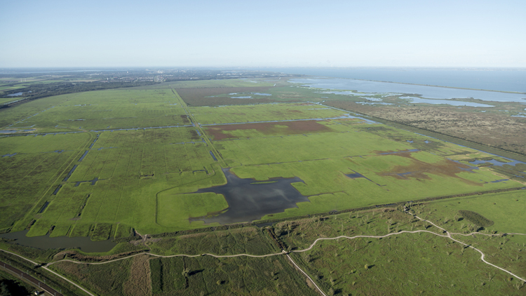 Dronepiloot uit Haarlem vrijgesproken van opjagen dieren met drone