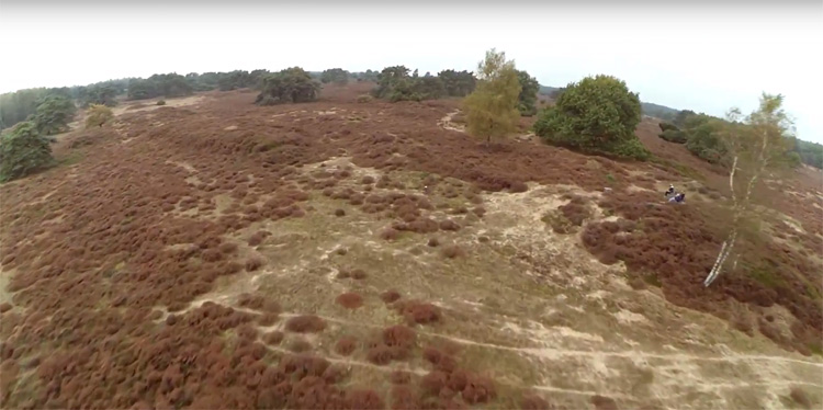 FPV Freestyle in de Drenthse heide FPV Freestyle in de Drenthse heide