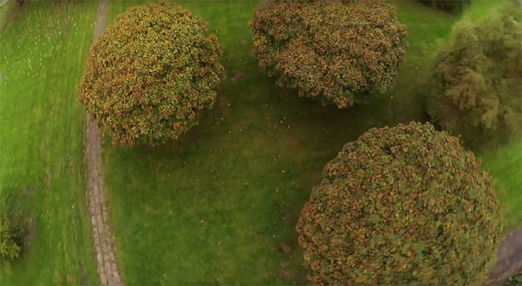 FPV freestyle van RaymonFPV FPV freestyle van RaymonFPV