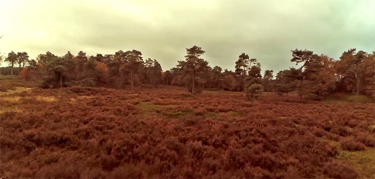 The dark days FPV freestyle door Raymon FPV The dark days FPV freestyle door Raymon FPV