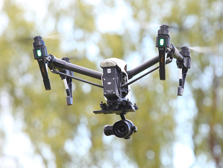 Ochtend vorst in Terheijden (Breda)