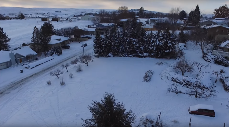 Drone filmt hert in de sneeuw Drone filmt hert in de sneeuw