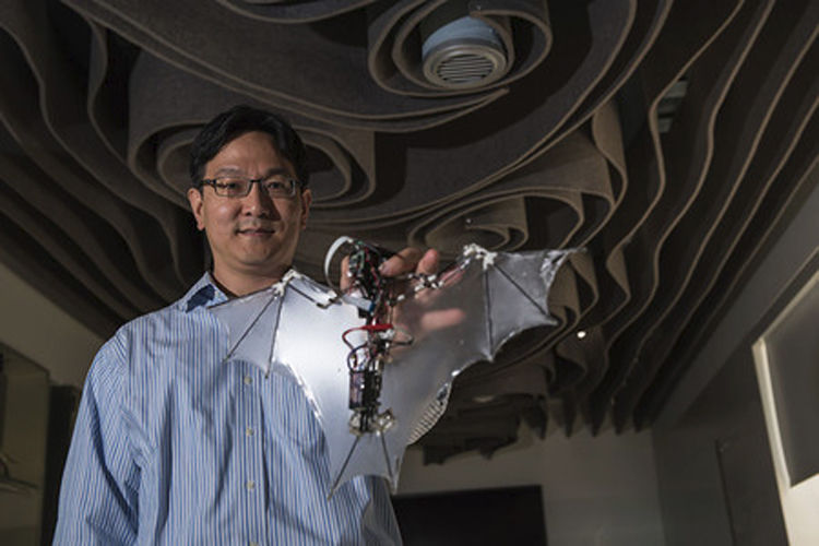 Amerikaanse wetenschappers bouwen kruising tussen vleermuis en drone