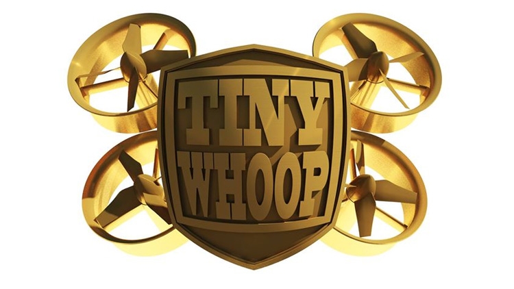 Tiny Whoop - Ludicrous Motors Testing Tiny Whoop - Ludicrous Motors Testing