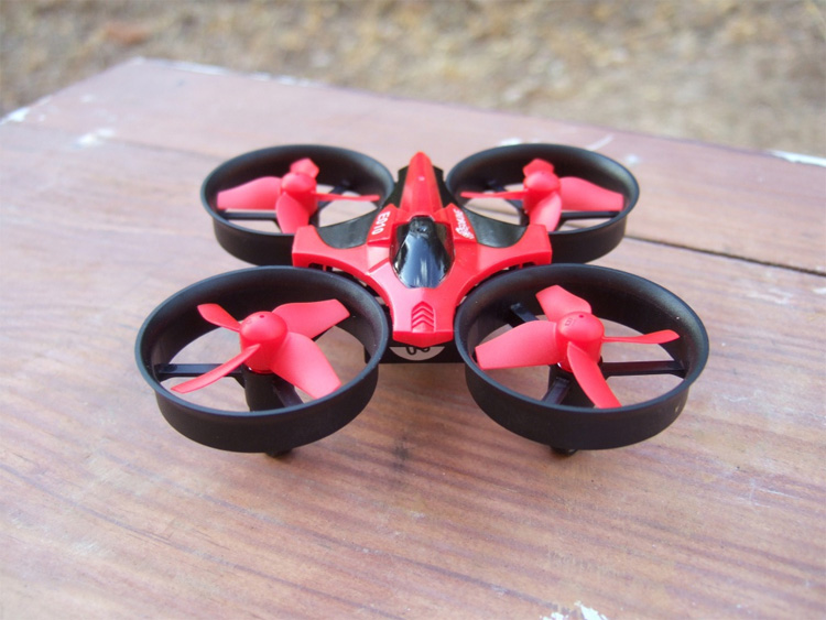 Tiny Whoop door het tuincentrum Tiny Whoop door het tuincentrum