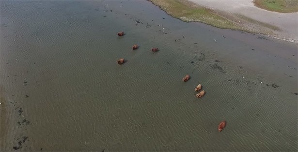 dji-phantom-3-advanced-filmt-slikken-van-flakkee-zeeland