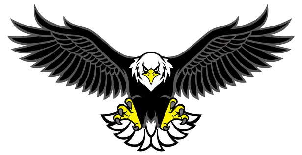 havik_drone_aanval_615